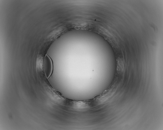 X0000111850287200907231435