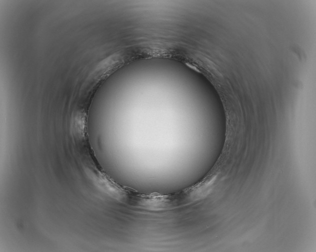 X0000111850288200907231435