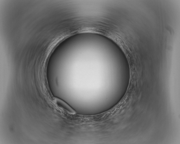 X0000111850289200907231434