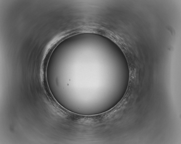 X0000111850294200907231434
