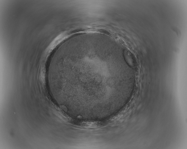 X0000111850295200907231434