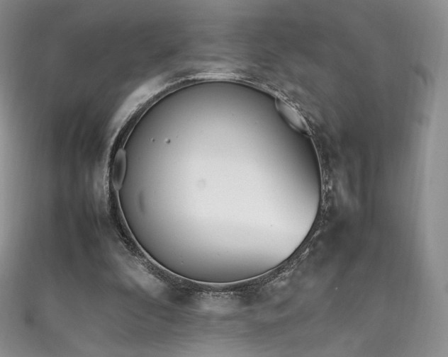 X0000111850296200907231434