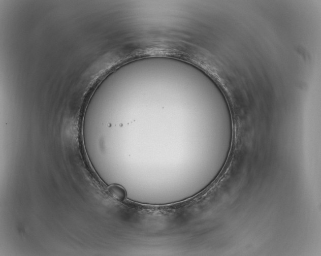 X0000111850297200907231434