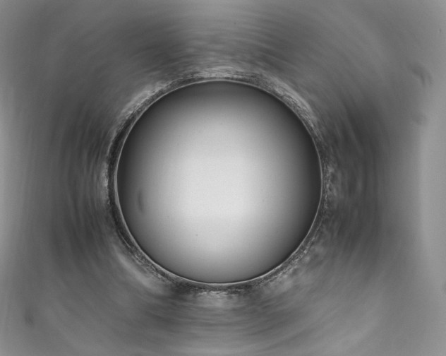 X0000111850298200907231434