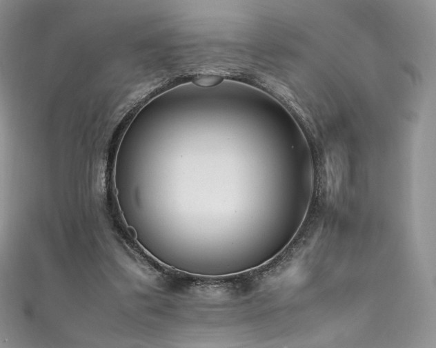 X0000111850299200907231434