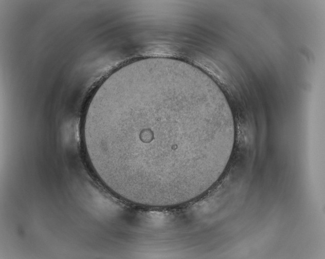 X0000111850302200907231434