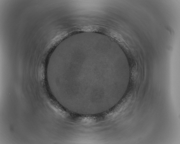 X0000111850303200907231434