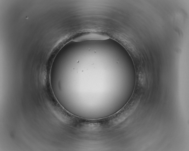 X0000111850304200907231434