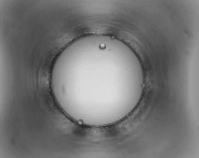 X0000111850305200907231434