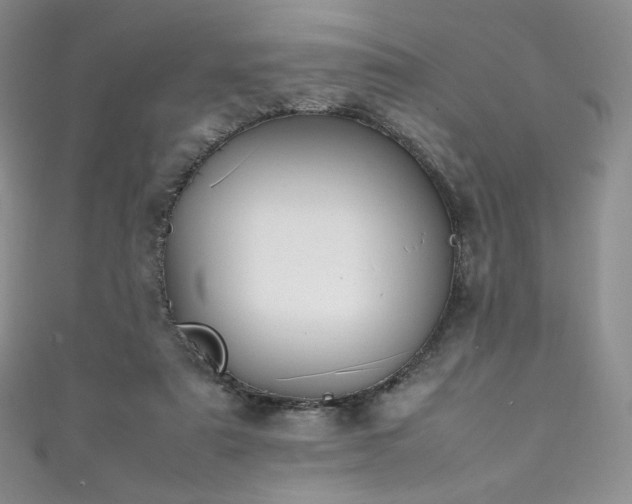 X0000111850307200907231434