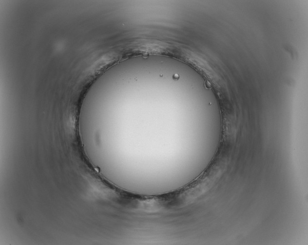 X0000111850309200907231434