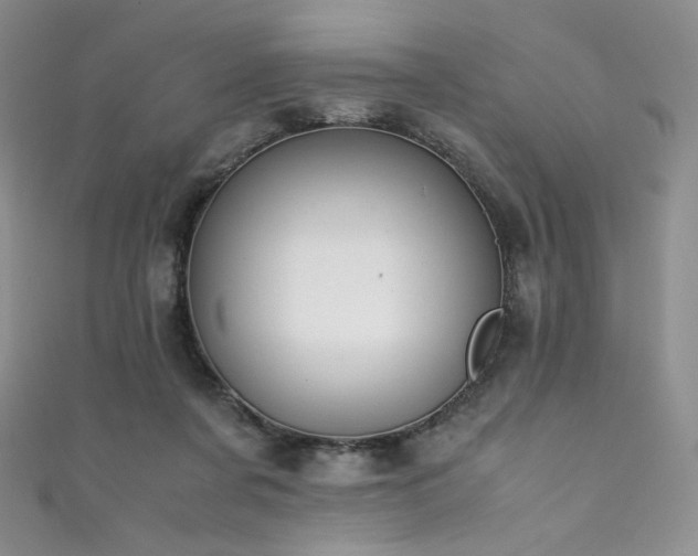 X0000111850311200907231434