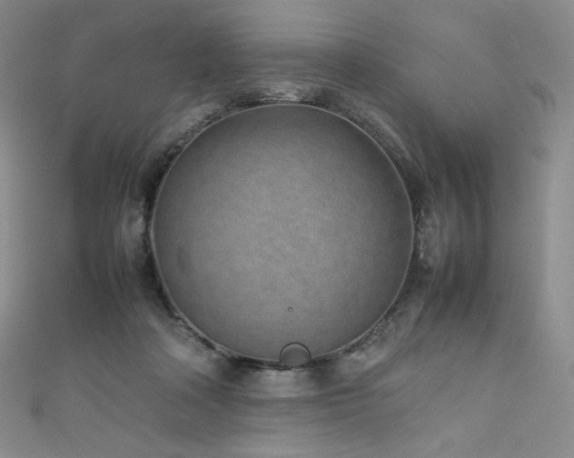 X0000111850314200907231434