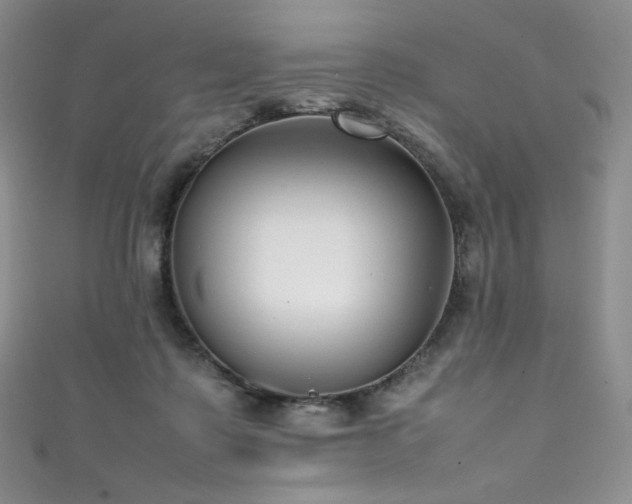 X0000111850315200907231434