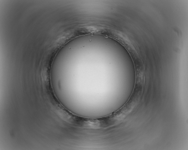 X0000111850317200907231434