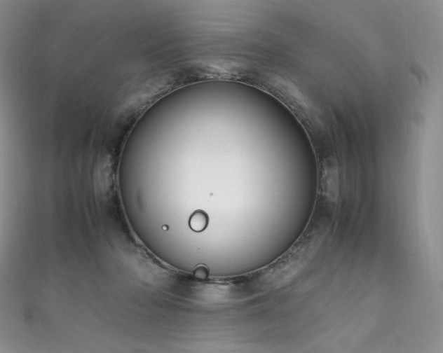 X0000111850318200907231434