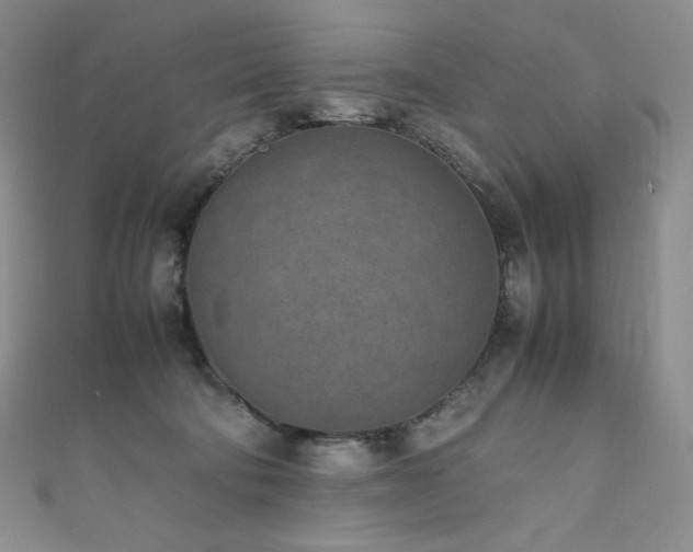 X0000111850322200907231434