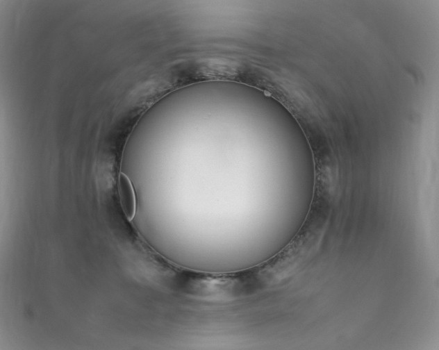 X0000111850323200907231434