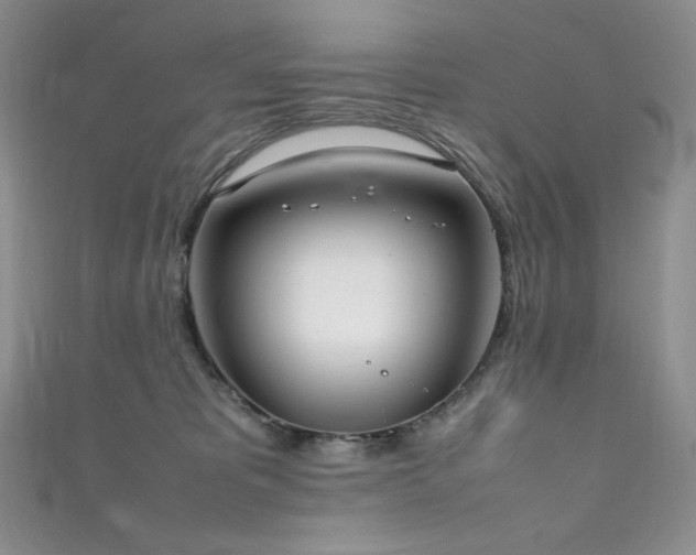 X0000111850325200907231434