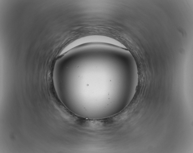 X0000111850327200907231434
