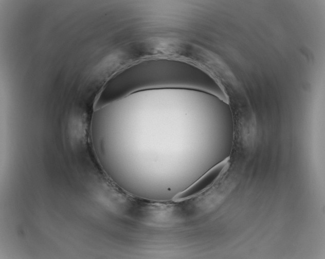X0000111850328200907231434