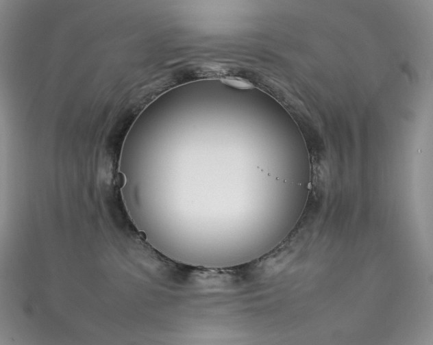 X0000111850331200907231433