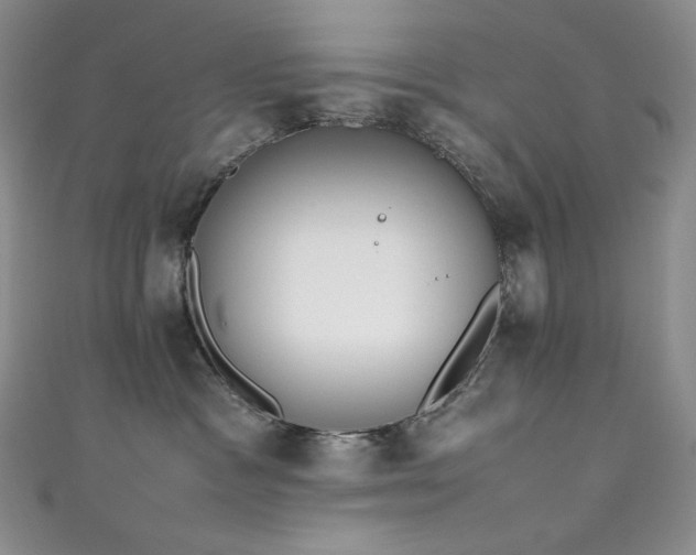 X0000111850333200907231433