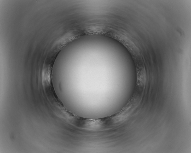 X0000111850334200907231433