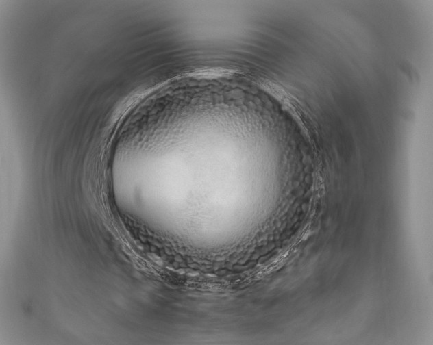 X0000111850337200907231433