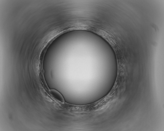 X0000111850338200907231433