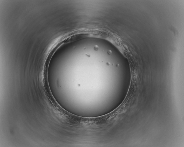 X0000111850340200907231433