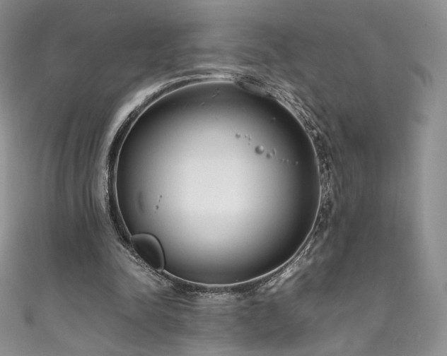 X0000111850342200907231433