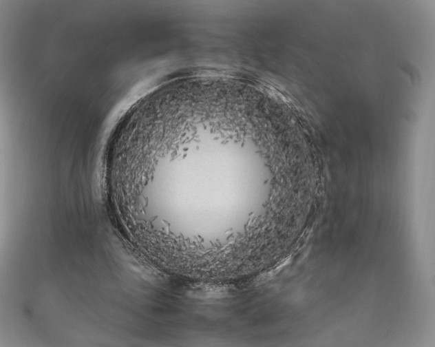 X0000111850343200907231433