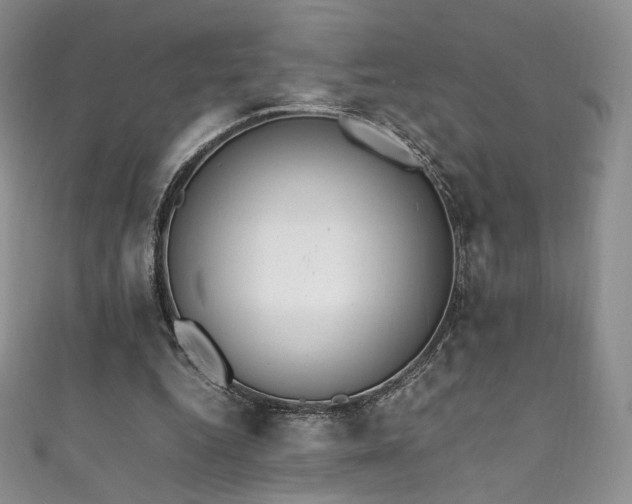 X0000111850344200907231433