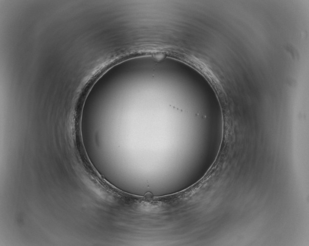 X0000111850346200907231433
