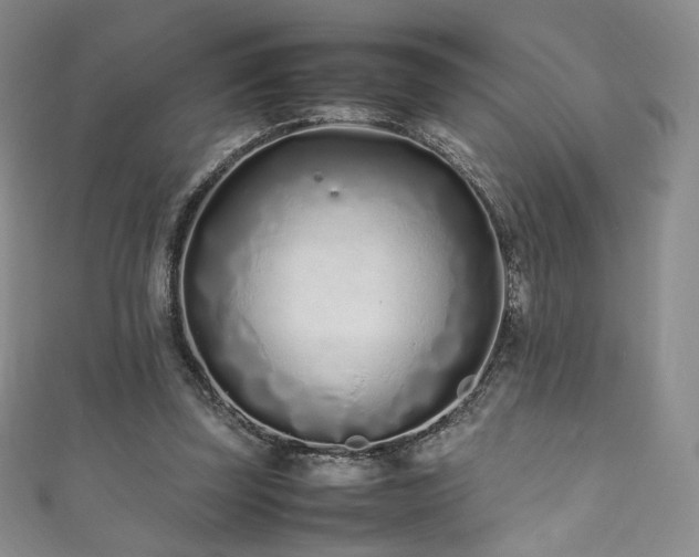 X0000111850347200907231433