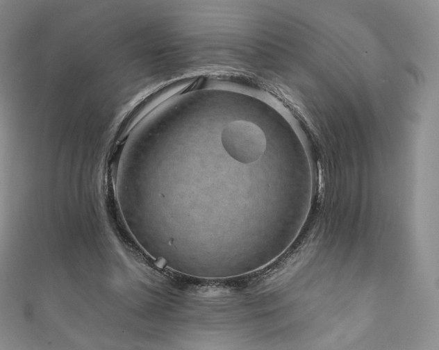 X0000111850348200907231433