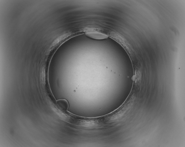 X0000111850349200907231433