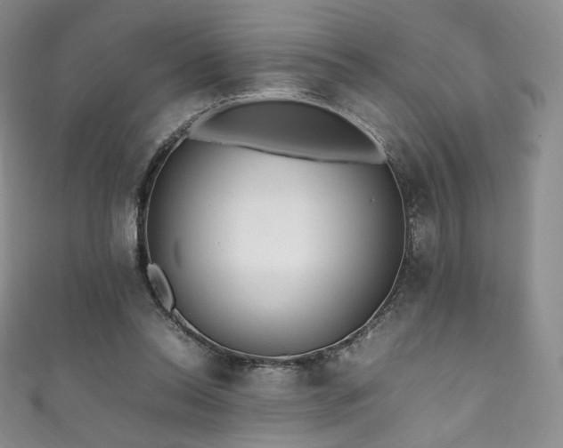 X0000111850350200907231433