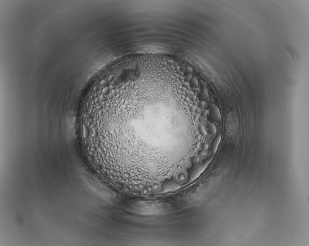 X0000111850351200907231433