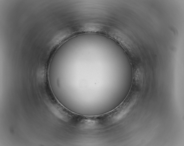 X0000111850352200907231433