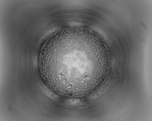 X0000111850353200907231433