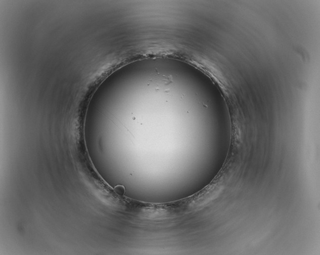 X0000111850354200907231433