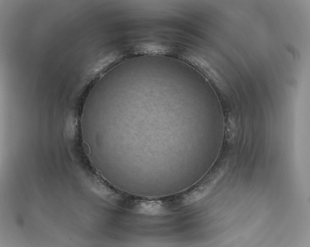 X0000111850355200907231433