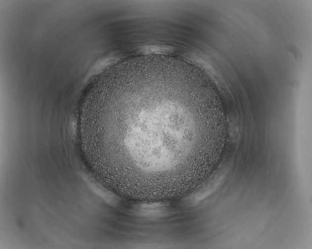 X0000111850357200907231433
