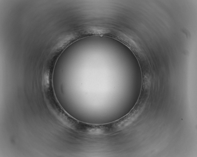 X0000111850358200907231433