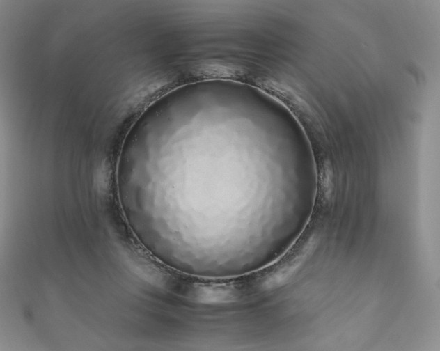 X0000111850359200907231433