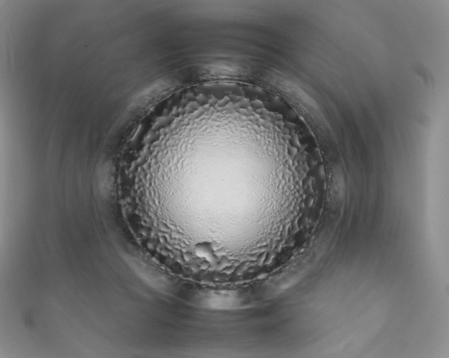 X0000111850361200907231433