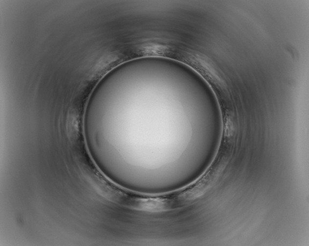 X0000111850363200907231433