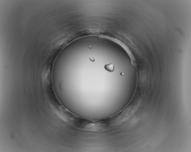 X0000111850364200907231433